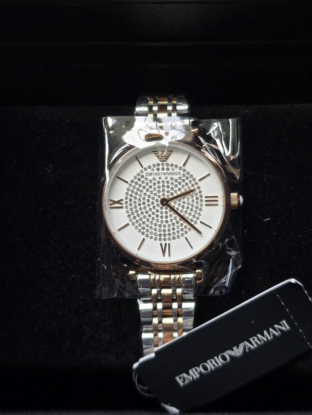 Emporio Armani Women's Two-Hand Two-Tone Stainless Steel Ladies Watch